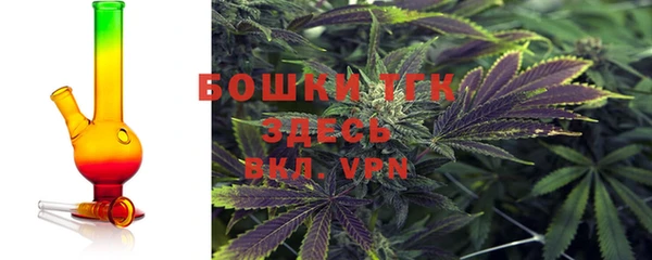 экстази Арсеньев