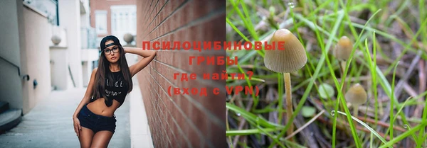 экстази Арсеньев