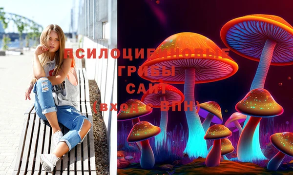 экстази Арсеньев
