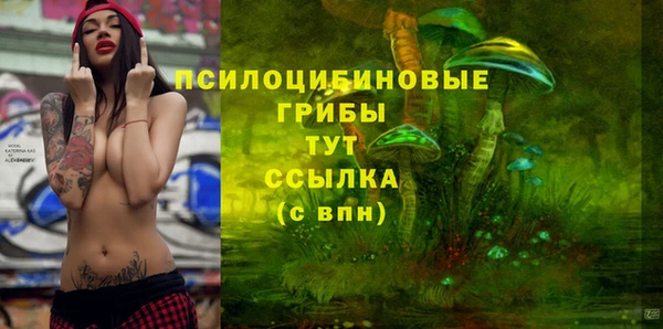экстази Арсеньев