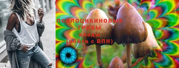 а пвп мука Армянск